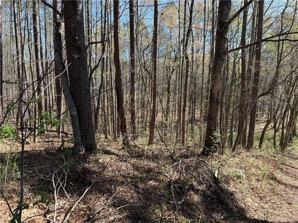 unimproved land for sale at 00 Henderson Mountain Road, Fairmount, GA 30139 — photo 9