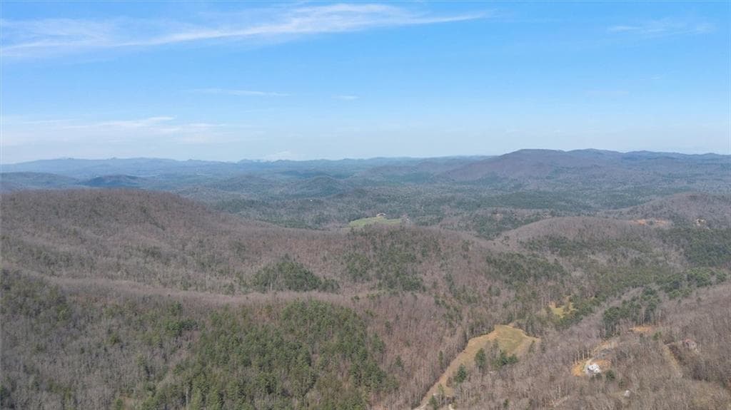 4 bedroom, 4 bathroom, 4,744 sq ft single family residence for sale at 881 Fox Mountain Road, Cherry Log, GA 30522 — photo 5