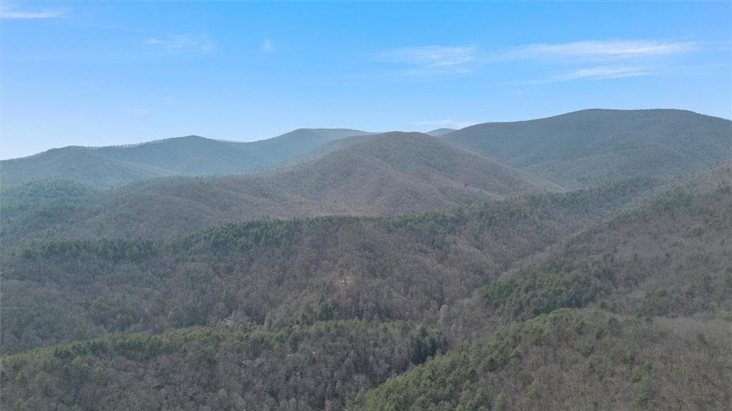 4 bedroom, 4 bathroom, 4,744 sq ft single family residence for sale at 881 Fox Mountain Road, Cherry Log, GA 30522 — photo 6