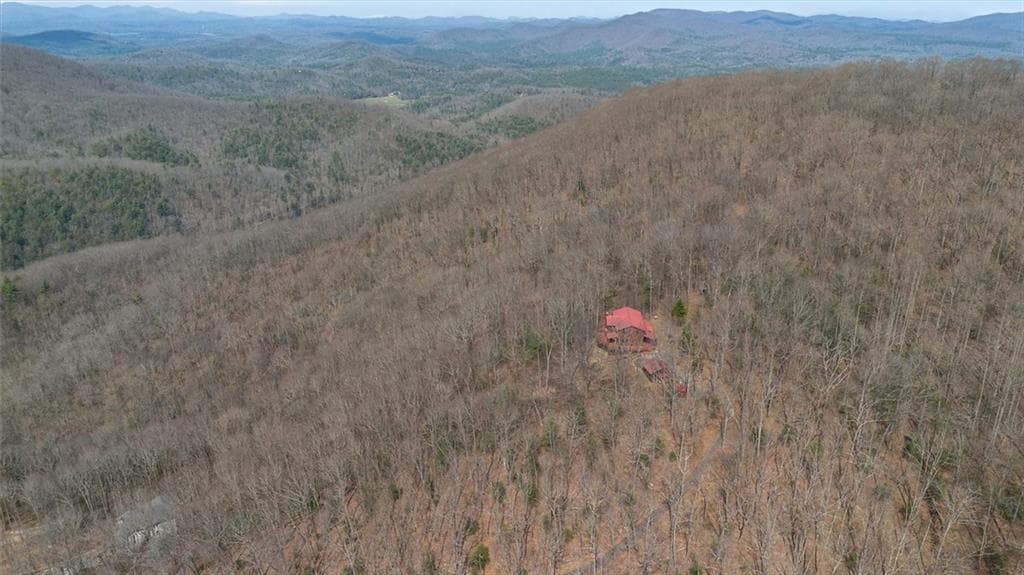 4 bedroom, 4 bathroom, 4,744 sq ft single family residence for sale at 881 Fox Mountain Road, Cherry Log, GA 30522 — photo 7