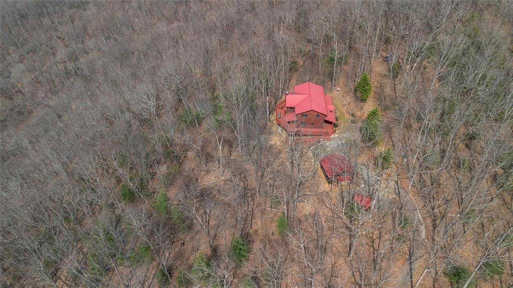 4 bedroom, 4 bathroom, 4,744 sq ft single family residence for sale at 881 Fox Mountain Road, Cherry Log, GA 30522 — photo 8