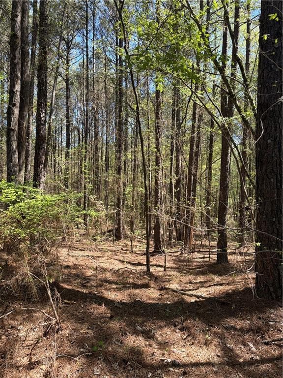unimproved land for sale at N/A Old Union Point Road, Greensboro, GA 30642 — photo 2