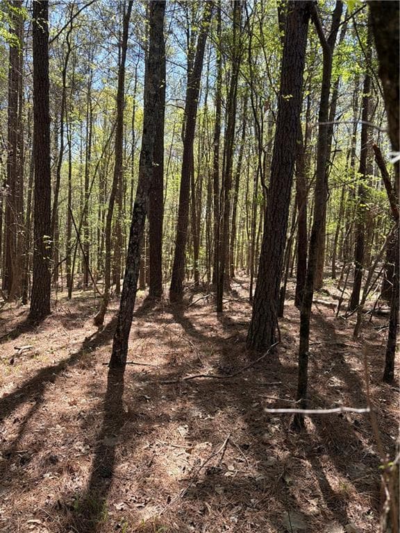 unimproved land for sale at N/A Old Union Point Road, Greensboro, GA 30642 — photo 3
