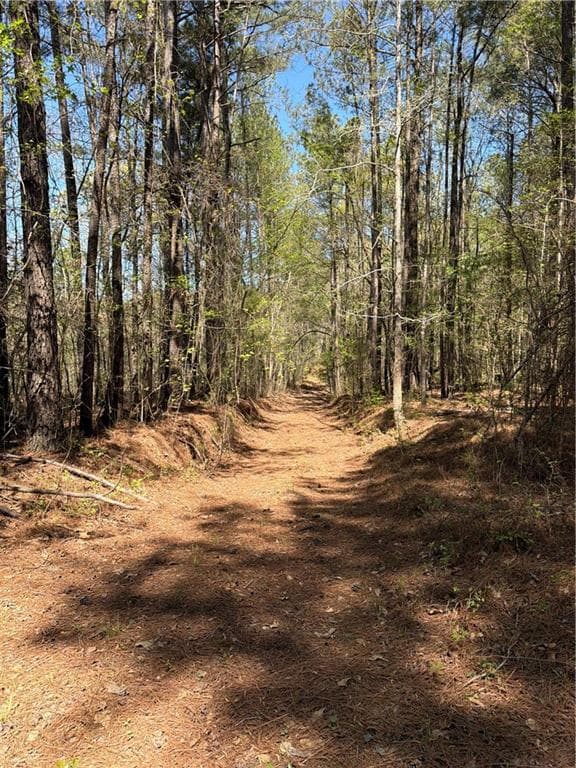 unimproved land for sale at N/A Old Union Point Road, Greensboro, GA 30642 — photo 4