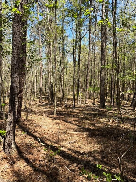 unimproved land for sale at N/A Old Union Point Road, Greensboro, GA 30642 — photo 5