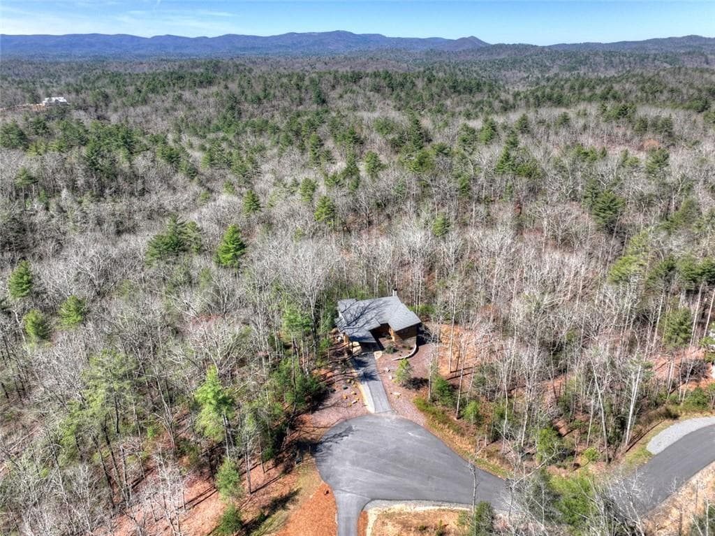 4 bedroom, 5 bathroom, 3,640 sq ft single family residence for sale at 466 E Watersong Bluff, Ellijay, GA 30540 — photo 10