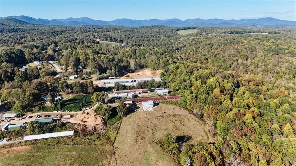 other for sale at 0 Porter Springs Road, Dahlonega, GA 30533 — photo 6