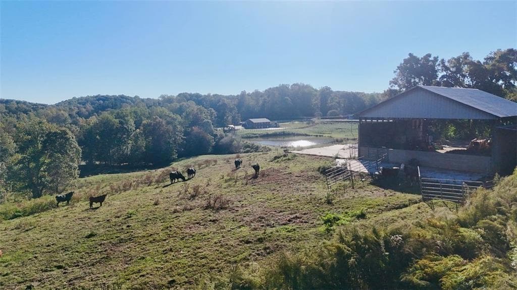 other for sale at 0 Porter Springs Road, Dahlonega, GA 30533 — photo 8