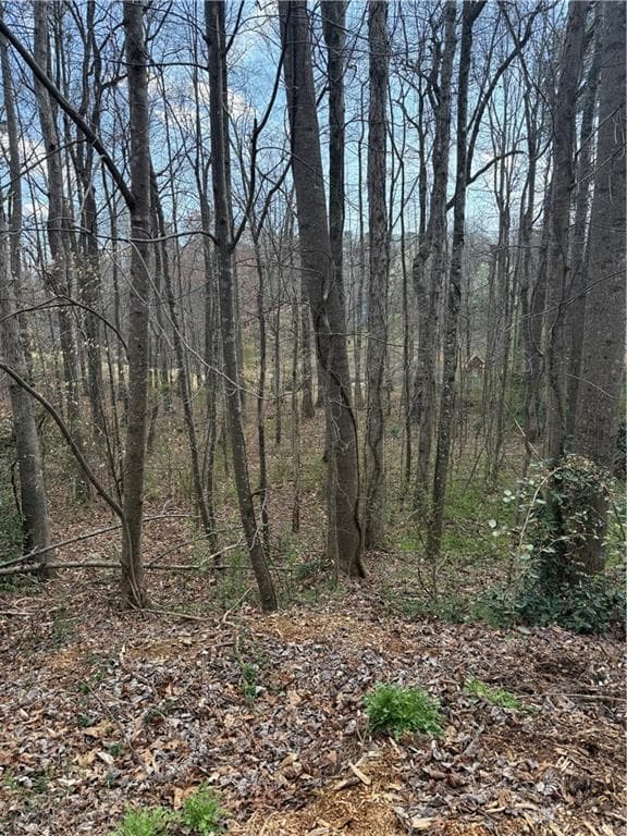 unimproved land for sale at 0 Willow Gate Trace, Auburn, GA 30011 — photo 4