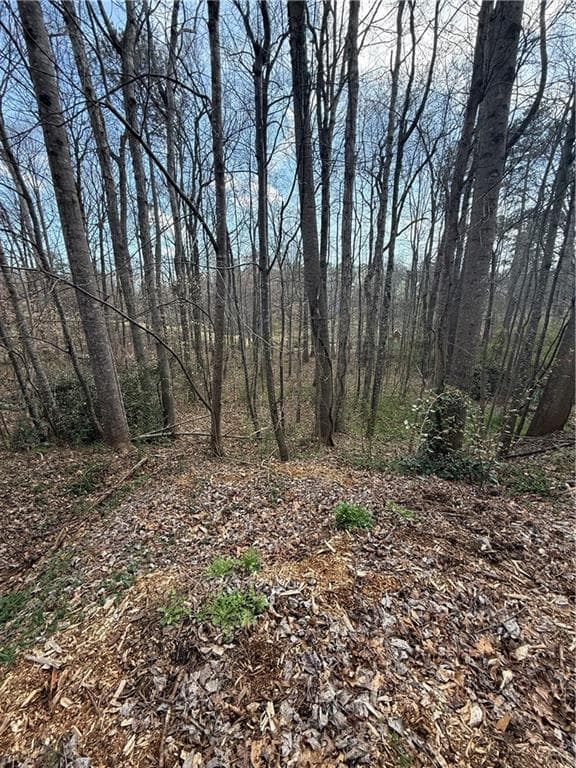 unimproved land for sale at 0 Willow Gate Trace, Auburn, GA 30011 — photo 5