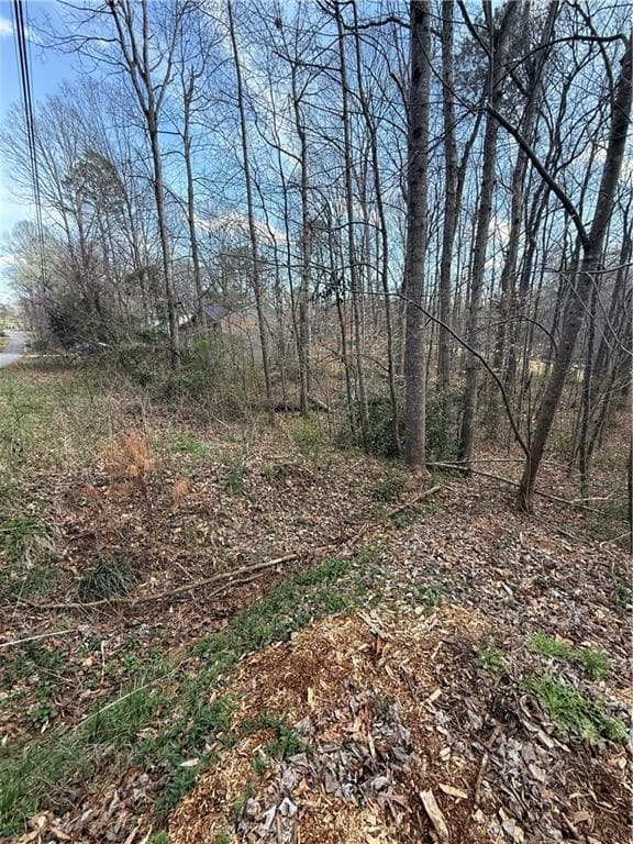 unimproved land for sale at 0 Willow Gate Trace, Auburn, GA 30011 — photo 6