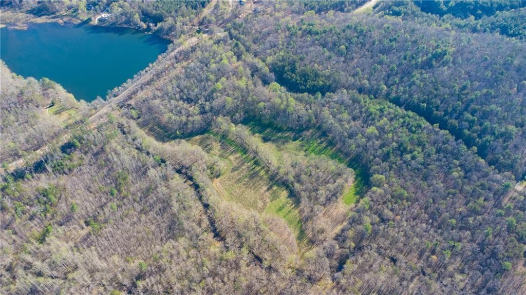unimproved land for sale at 9031 Steve Tate Highway, Dawsonville, GA 30534 — photo 3