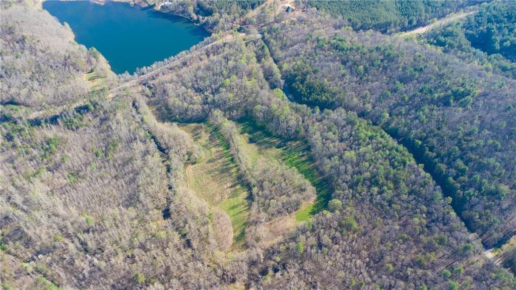 unimproved land for sale at 9031 Steve Tate Highway, Dawsonville, GA 30534 — photo 4