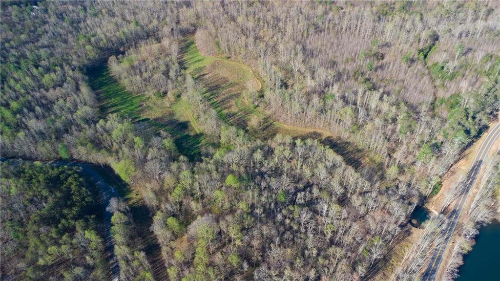 unimproved land for sale at 9031 Steve Tate Highway, Dawsonville, GA 30534 — photo 5