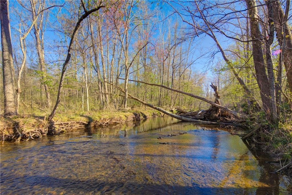 unimproved land for sale at 9031 Steve Tate Highway, Dawsonville, GA 30534 — photo 9