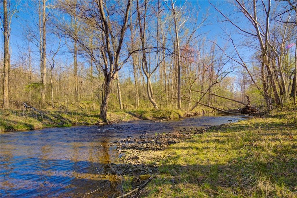 unimproved land for sale at 9031 Steve Tate Highway, Dawsonville, GA 30534 — photo 10