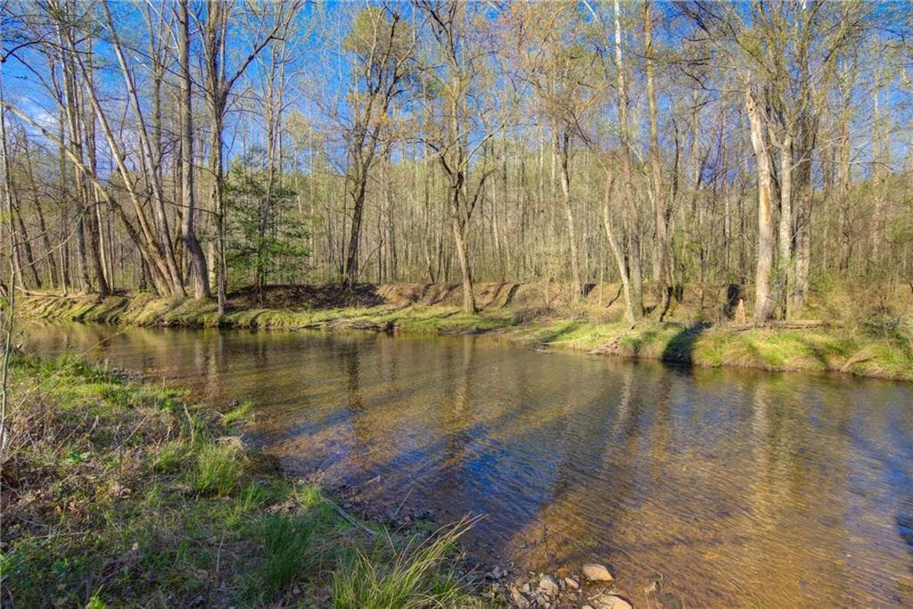 unimproved land for sale at 9031 Steve Tate Highway, Dawsonville, GA 30534 — photo 2