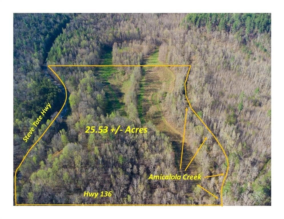 unimproved land for sale at 9031 Steve Tate Highway, Dawsonville, GA 30534 — photo 1 of 21