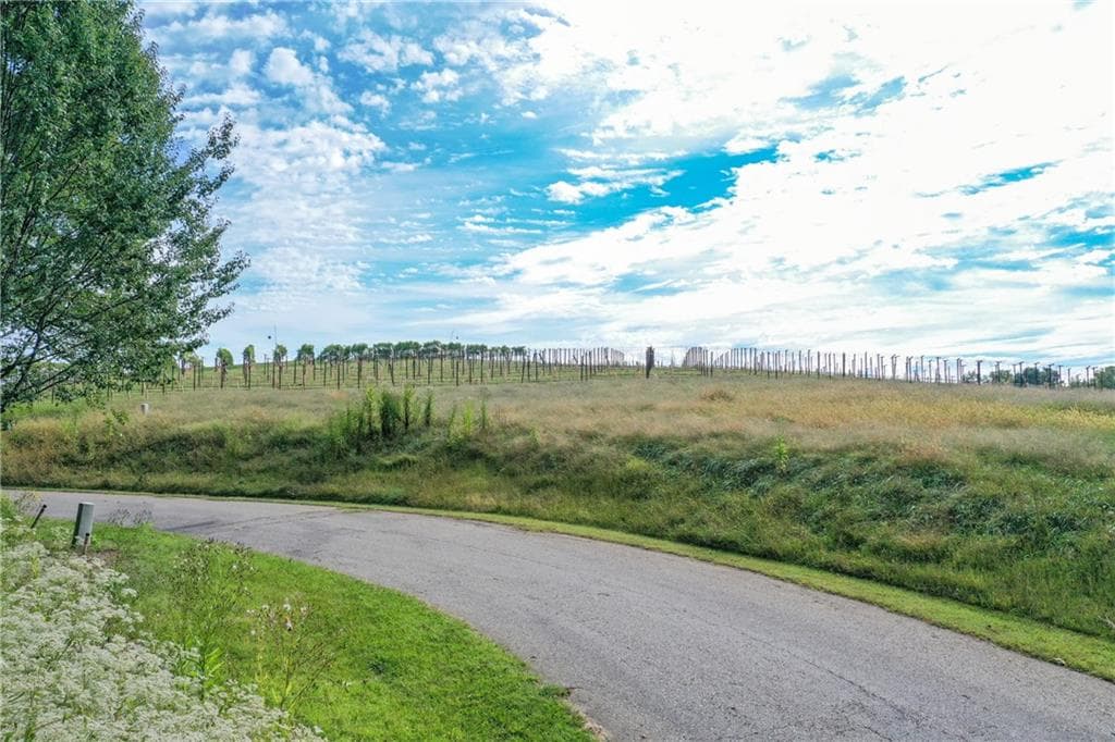 single family residence under contract at 0 Strada Del Vino #10, Dahlonega, GA 30533 — photo 3