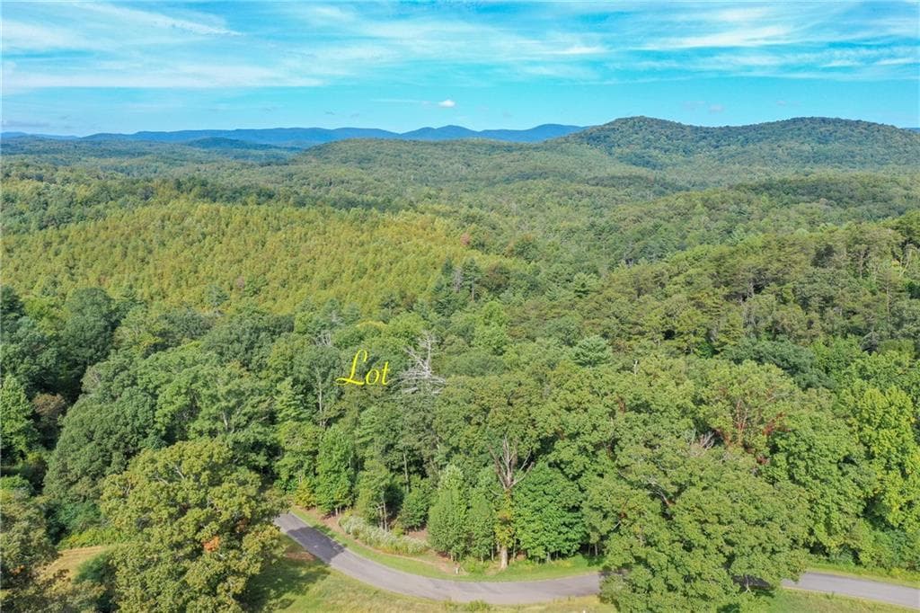 single family residence under contract at 0 Strada Del Vino #10, Dahlonega, GA 30533 — photo 4