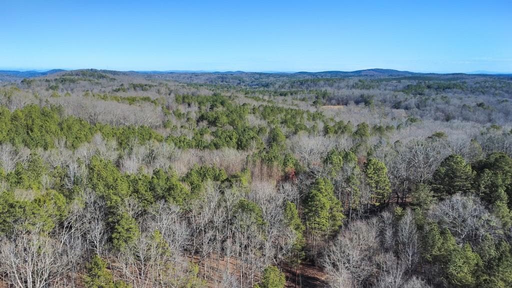 unimproved land for sale at 277 Bethel Church Road, Silver Creek, GA 30173 — photo 2