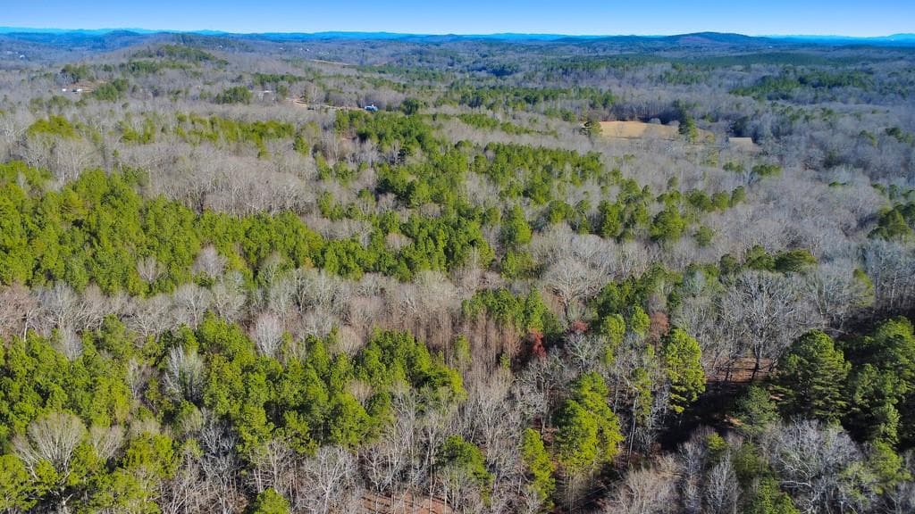 unimproved land for sale at 277 Bethel Church Road, Silver Creek, GA 30173 — photo 3