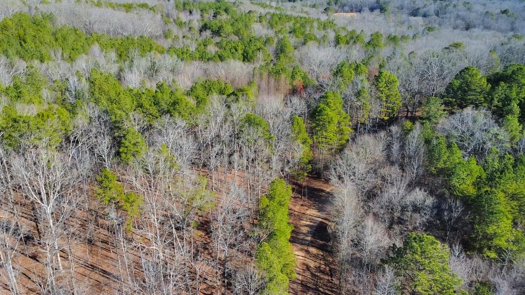 unimproved land for sale at 277 Bethel Church Road, Silver Creek, GA 30173 — photo 4