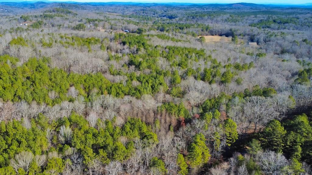 unimproved land for sale at 277 Bethel Church Road, Silver Creek, GA 30173 — photo 5