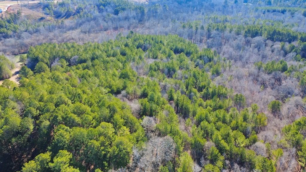 unimproved land for sale at 277 Bethel Church Road, Silver Creek, GA 30173 — photo 6