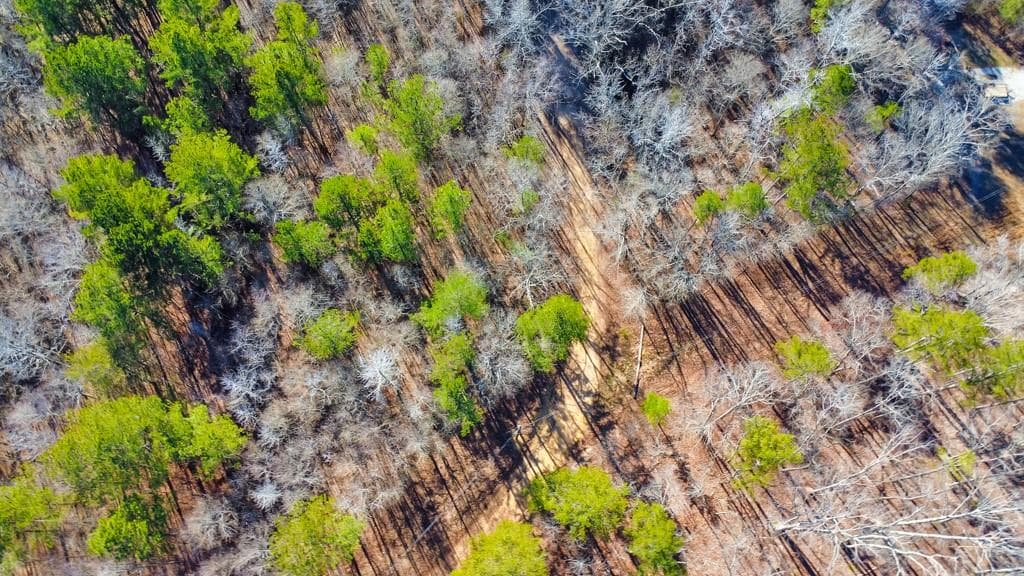 unimproved land for sale at 277 Bethel Church Road, Silver Creek, GA 30173 — photo 7