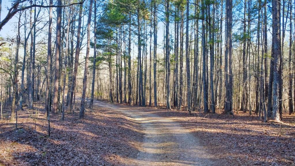 unimproved land for sale at 277 Bethel Church Road, Silver Creek, GA 30173 — photo 8