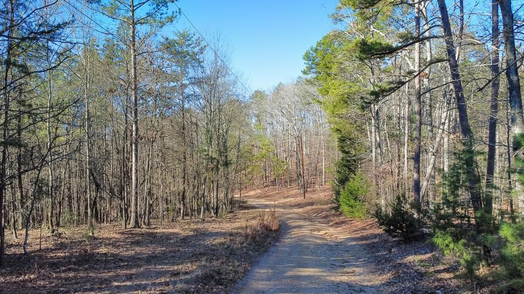 unimproved land for sale at 277 Bethel Church Road, Silver Creek, GA 30173 — photo 9