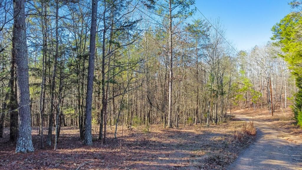 unimproved land for sale at 277 Bethel Church Road, Silver Creek, GA 30173 — photo 10