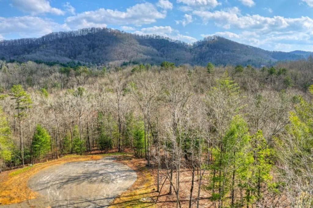 single family residence for sale at LT 13 Rocky Ridge, Mineral Bluff, GA 30559