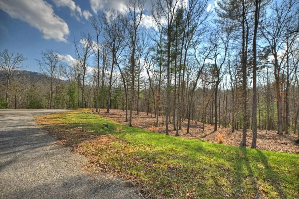 single family residence for sale at LT 13 Rocky Ridge, Mineral Bluff, GA 30559 — photo 2