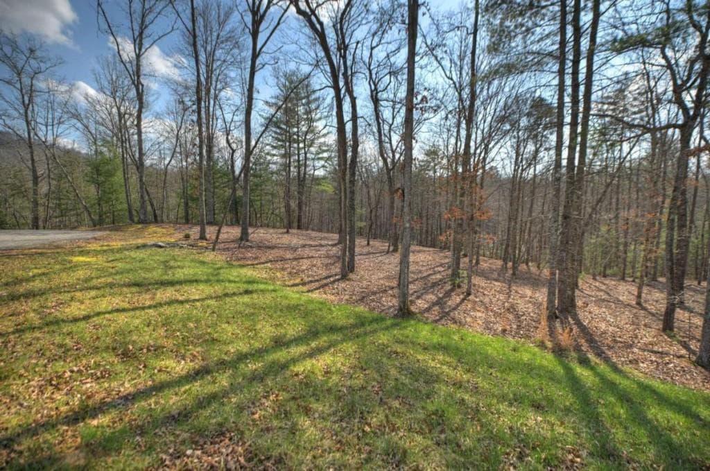 single family residence for sale at LT 13 Rocky Ridge, Mineral Bluff, GA 30559 — photo 3