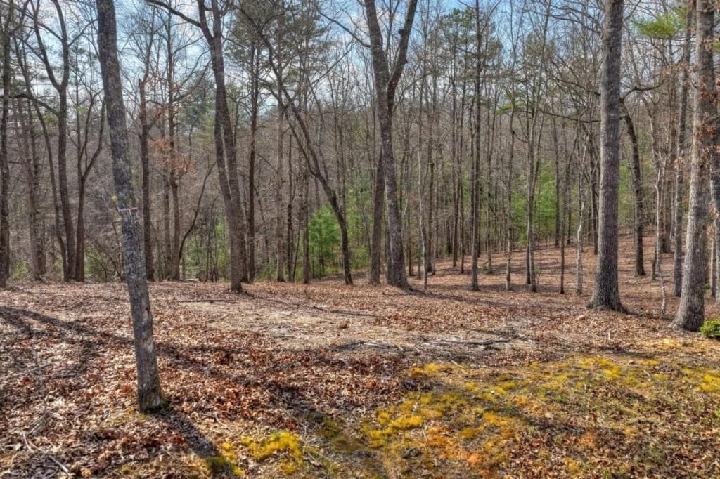 single family residence for sale at LT 13 Rocky Ridge, Mineral Bluff, GA 30559 — photo 5