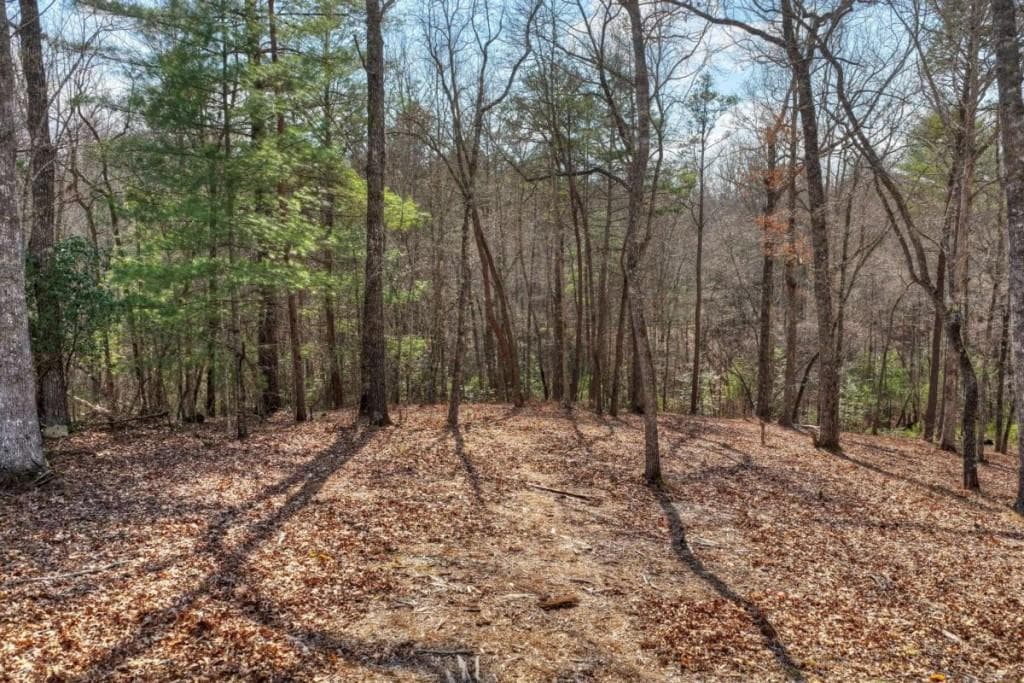 single family residence for sale at LT 13 Rocky Ridge, Mineral Bluff, GA 30559 — photo 6