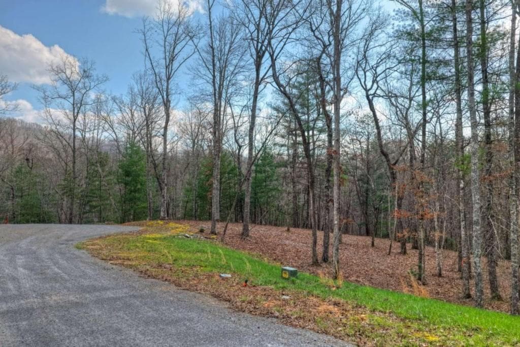 single family residence for sale at LT 13 Rocky Ridge, Mineral Bluff, GA 30559 — photo 7