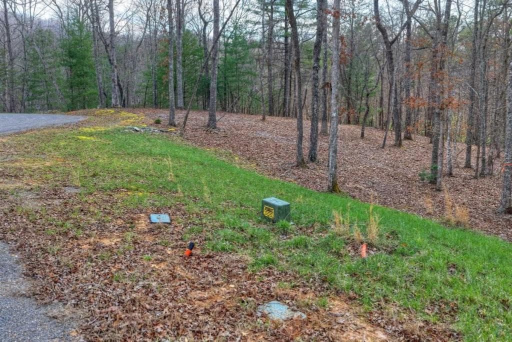 single family residence for sale at LT 13 Rocky Ridge, Mineral Bluff, GA 30559 — photo 8