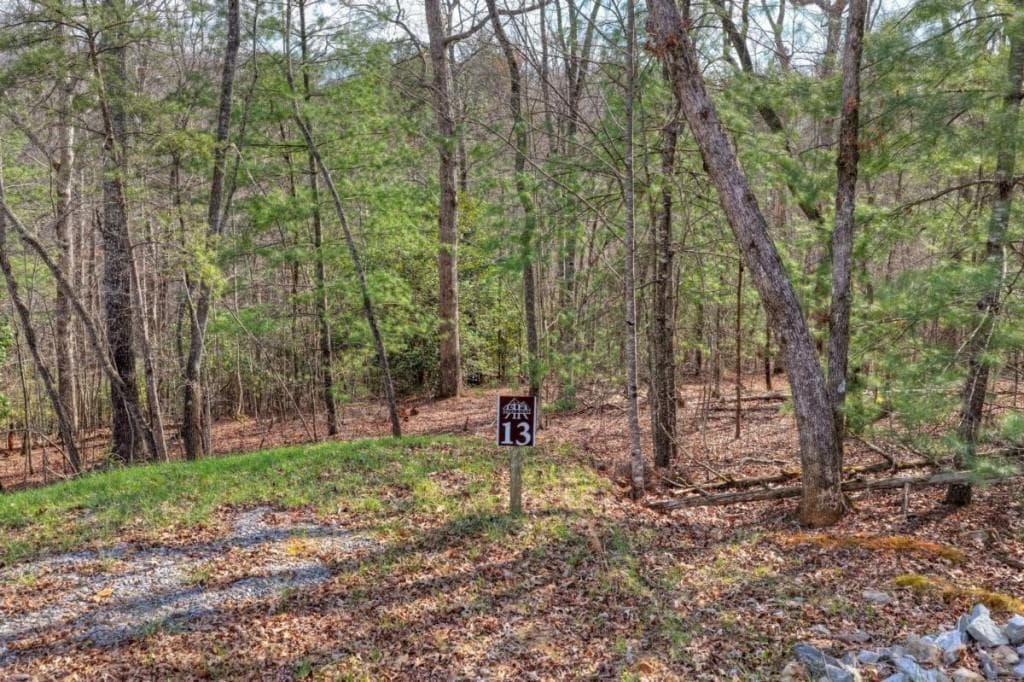 single family residence for sale at LT 13 Rocky Ridge, Mineral Bluff, GA 30559 — photo 9