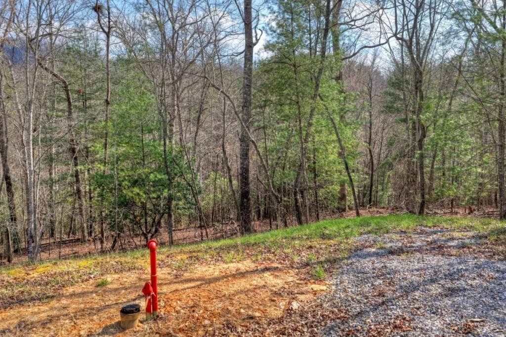 single family residence for sale at LT 13 Rocky Ridge, Mineral Bluff, GA 30559 — photo 10