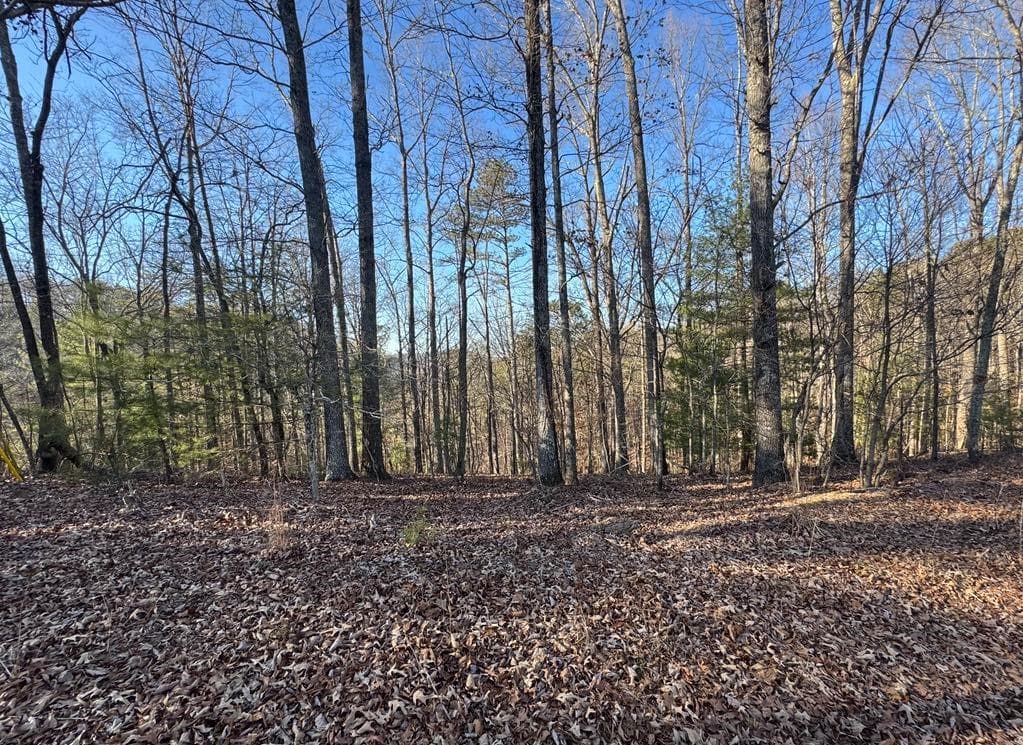 unimproved land for sale at 0 Rebekah Ridge, Talking Rock, GA 30175 — photo 1 of 8