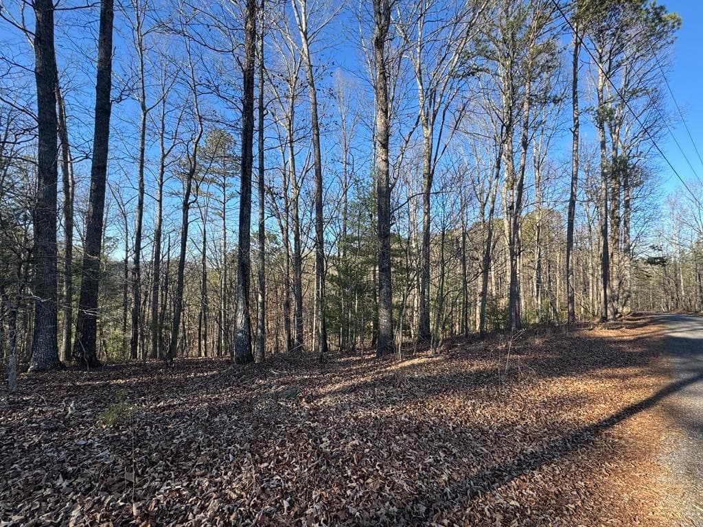 unimproved land for sale at 0 Rebekah Ridge, Talking Rock, GA 30175 — photo 2