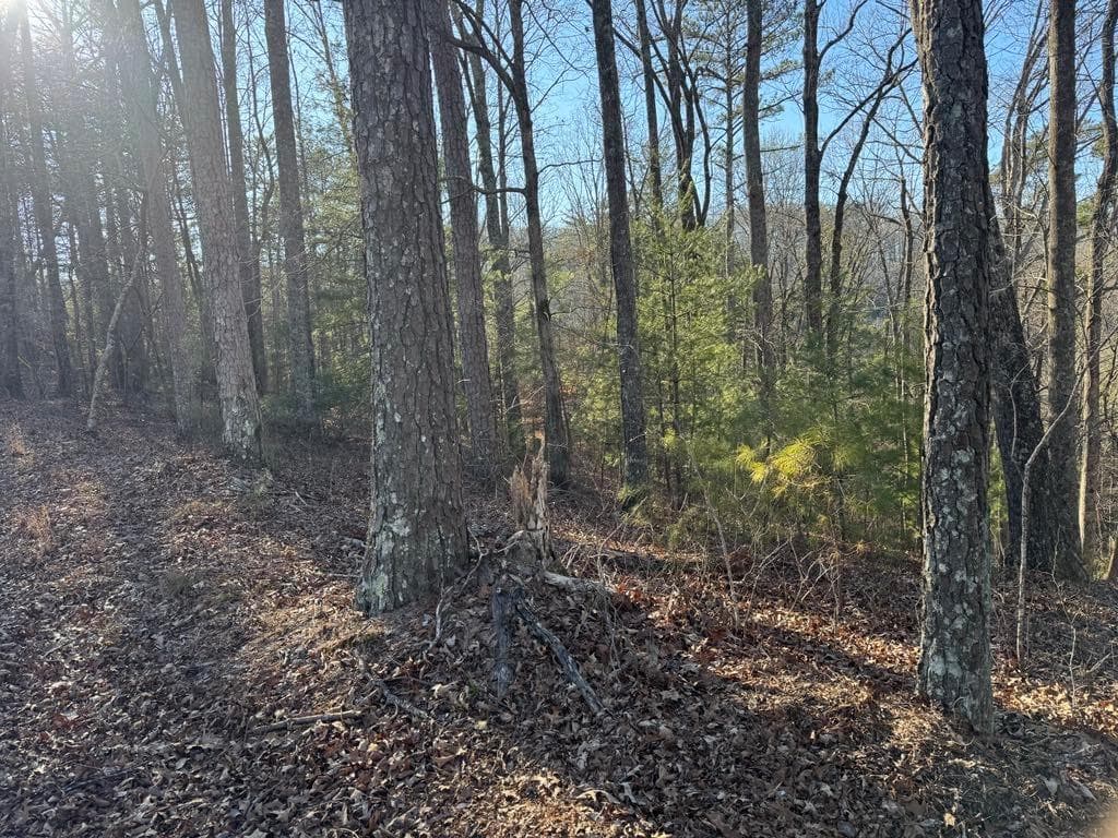 unimproved land for sale at 0 Rebekah Ridge, Talking Rock, GA 30175 — photo 3
