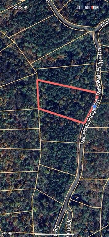 unimproved land for sale at 0 Rebekah Ridge, Talking Rock, GA 30175 — photo 4