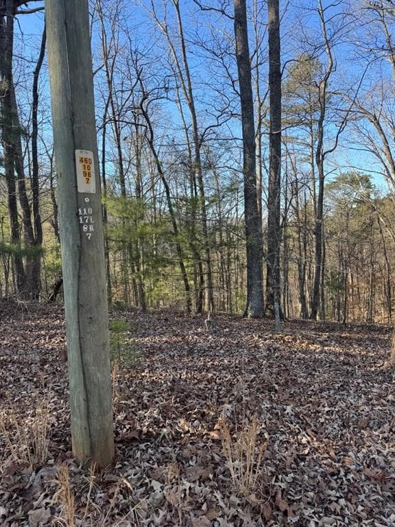 unimproved land for sale at 0 Rebekah Ridge, Talking Rock, GA 30175 — photo 5
