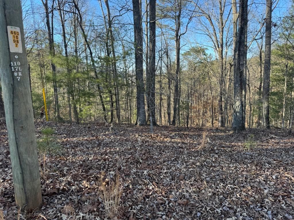 unimproved land for sale at 0 Rebekah Ridge, Talking Rock, GA 30175 — photo 6