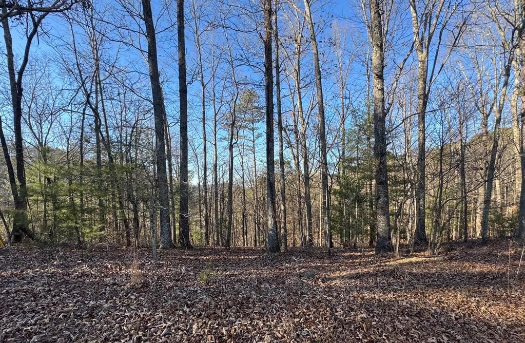 unimproved land for sale at 0 Rebekah Ridge, Talking Rock, GA 30175 — photo 7