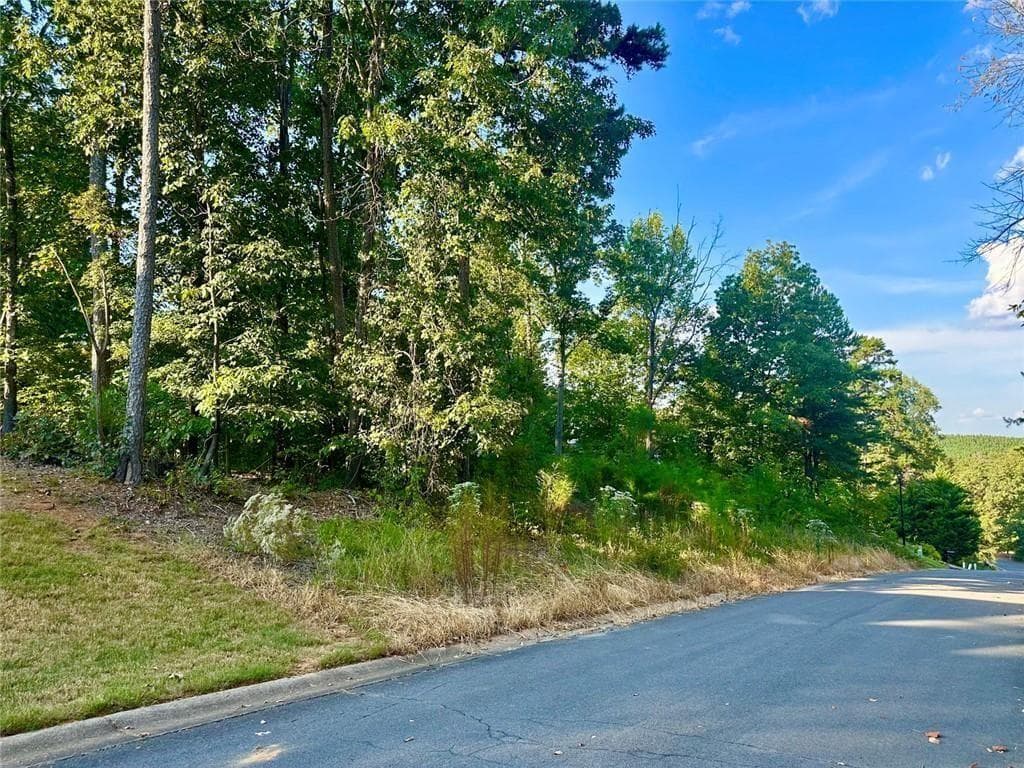 other for sale at 98 Magnolia Court, Summerville, GA 30747 — photo 4